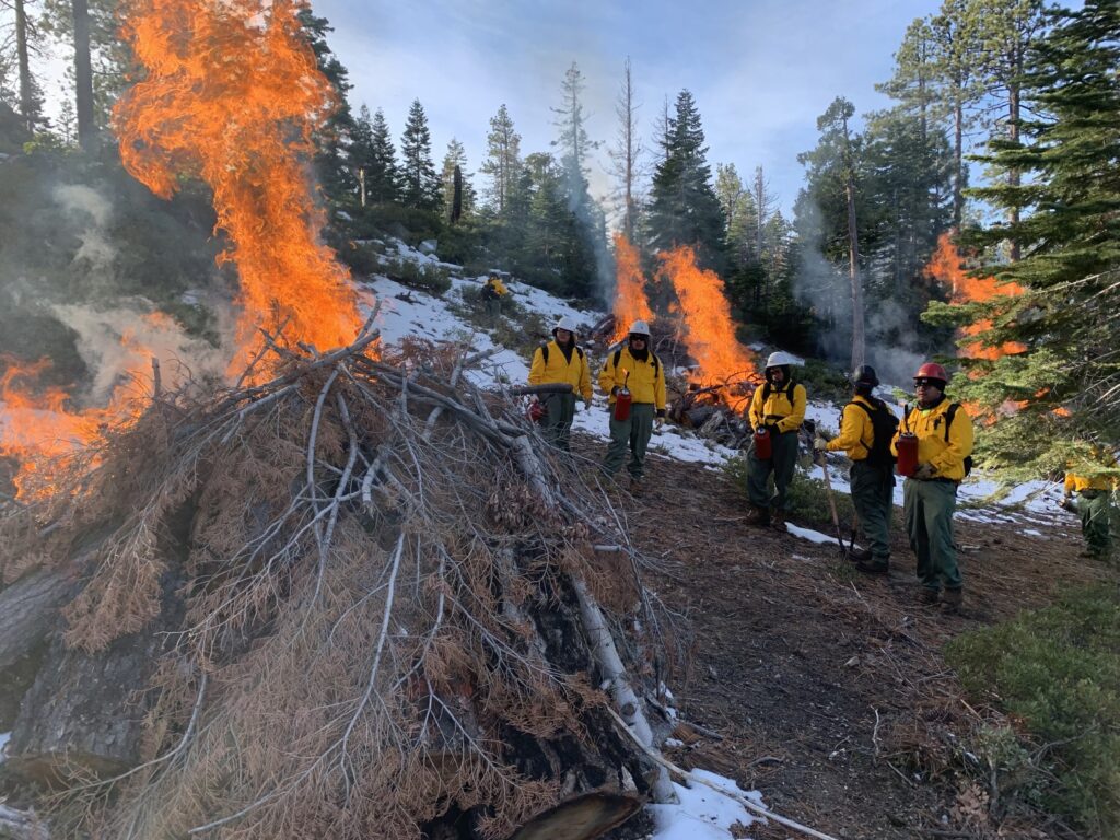 From the Washoe Environmental Protection Department Facebook Page