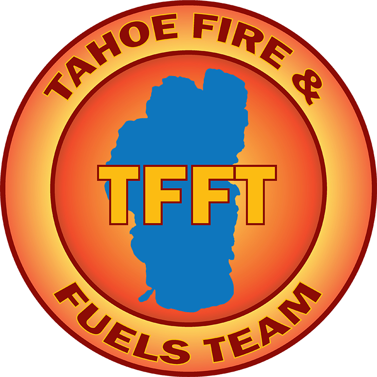 TTFT logo