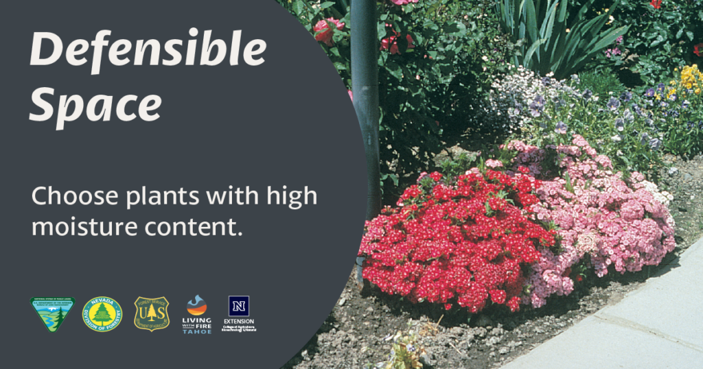 Defensible Space. Choose plants with high moisture content.