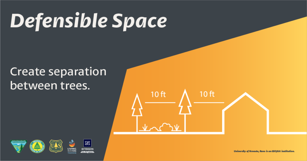 Defensible Space. Create separation between trees.