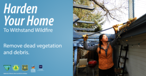Photo of a woman removing dead vegetation from a roof with text that says, “Harden your home to withstand wildfire. Remove dead vegetation and debris.”