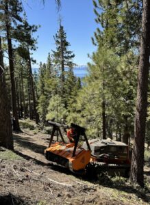 Photo of BurnBot masticator working in forested area.