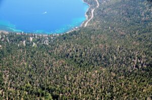Aerial photo of Lake Tahoe, depicting blue water and forested shoreline.