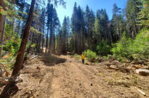 Photo of a bulldozed fire control line from the Caldor Fire