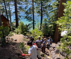 Line of high school students passing dry forest fuels up a slope to reduce wildfire risk. Features the bright teal/blue Fallen Leaf Lake behind tall pines near the water.
